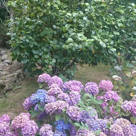 Hotell El Jardin De Aes 2*