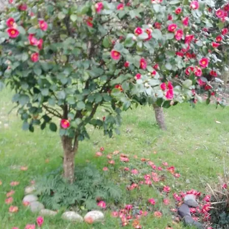 El Jardin De Aes Hotell Puente Viesgo