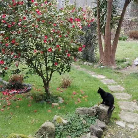 Hotell El Jardin De Aes 2*