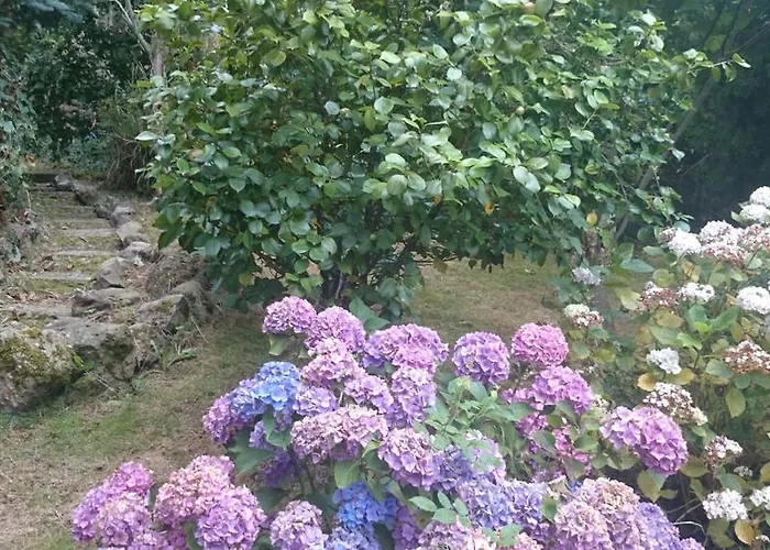 Hotel El Jardin De Aes 2*