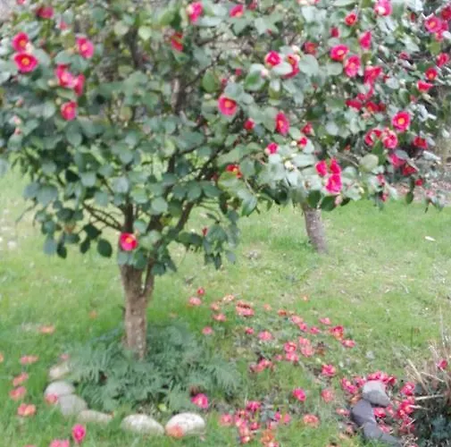 El Jardin De Aes Hotel Puente Viesgo