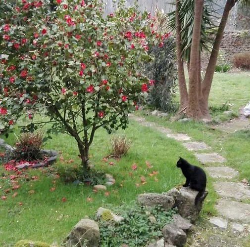 Hotel El Jardin De Aes 2*