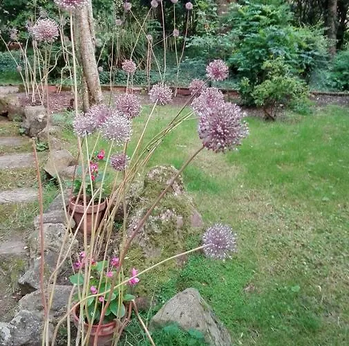 El Jardin De Aes Puente Viesgo