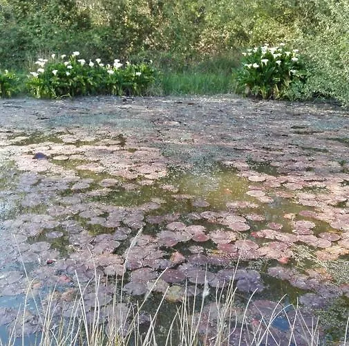 El Jardin De Aes Puente Viesgo